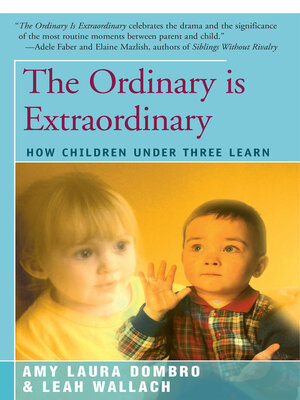 cover image of The Ordinary Is Extraordinary